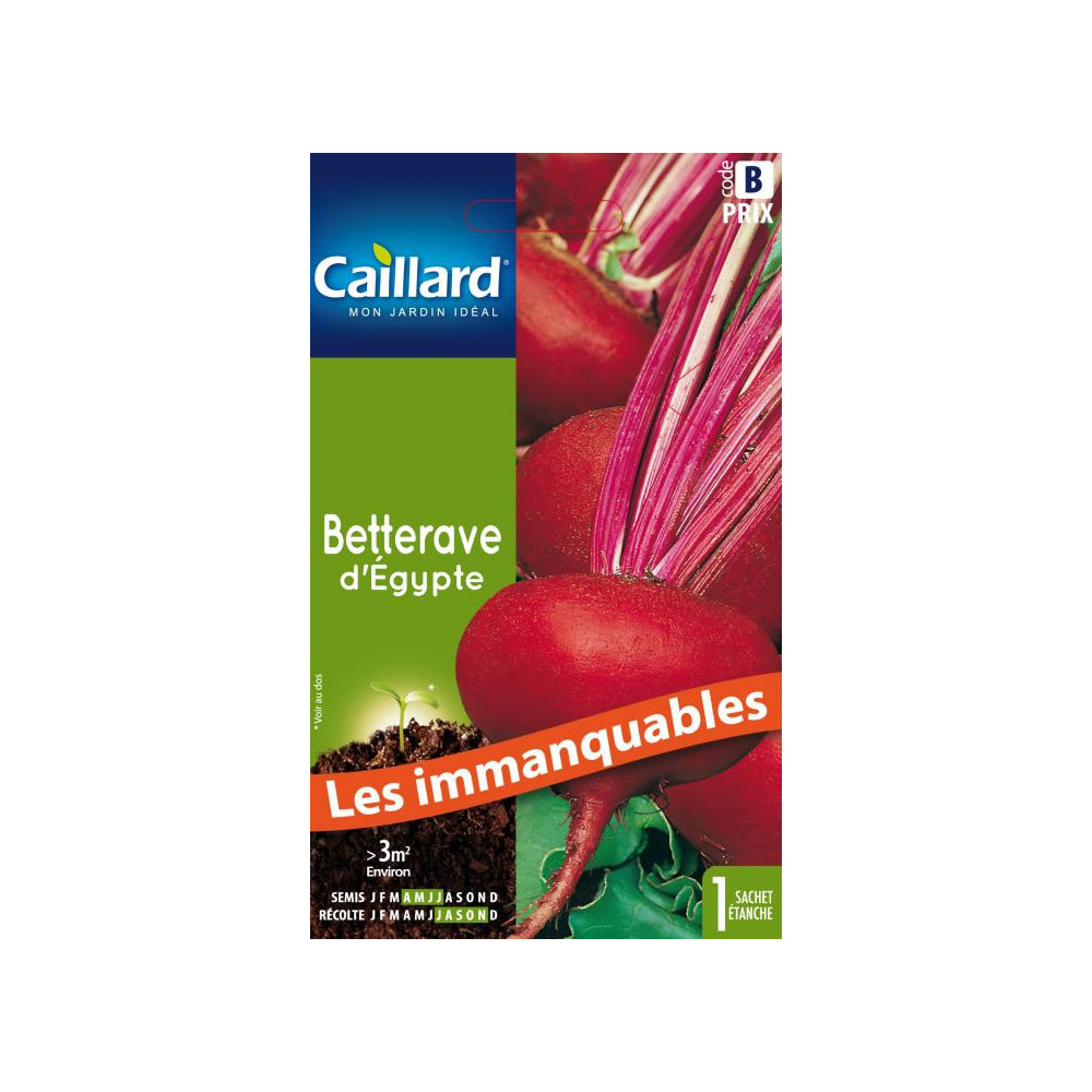 Graine De Betterave D'egypte Graine De Betterave D'egypte