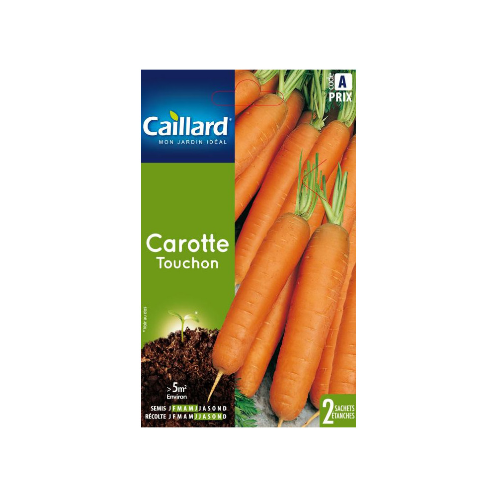 Graine De Carotte Touchon Graine De Carotte Touchon