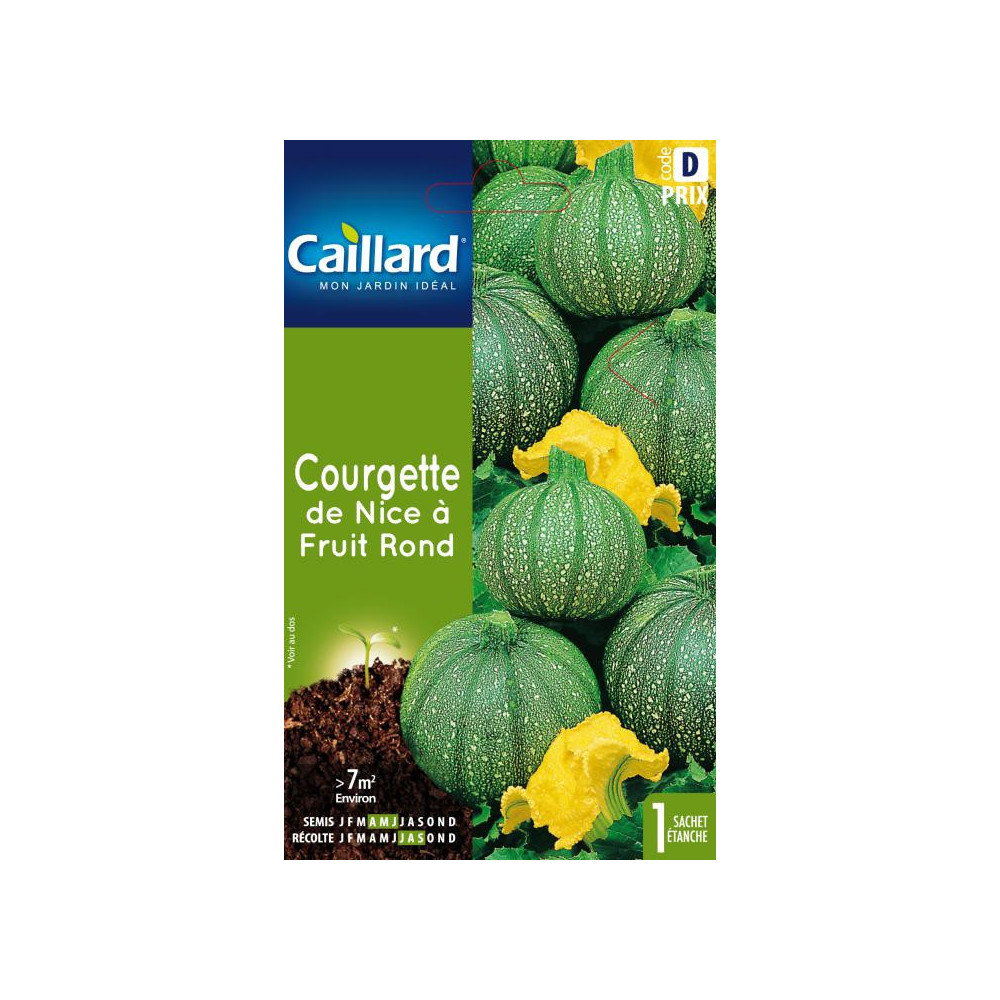 Graine De Courgette De Nice A Fruit Rond Graine De Courgette De Nice A Fruit Rond