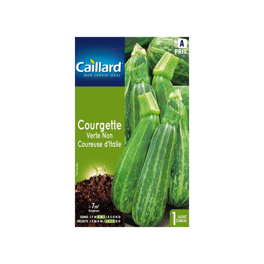 Graine De Courgette Verte D'italie Nc Graine De Courgette Verte D'italie Nc