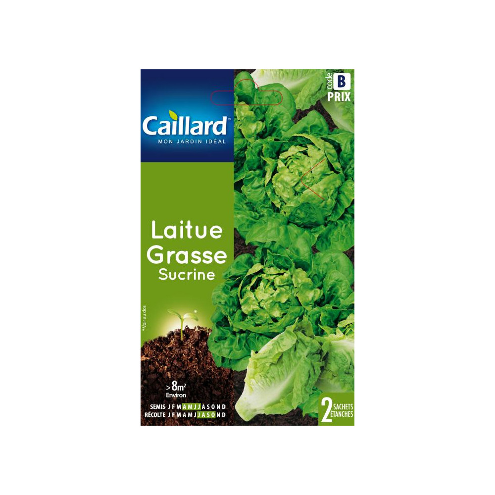 Graine De Laitue Grasse Sucrine Graine De Laitue Grasse Sucrine