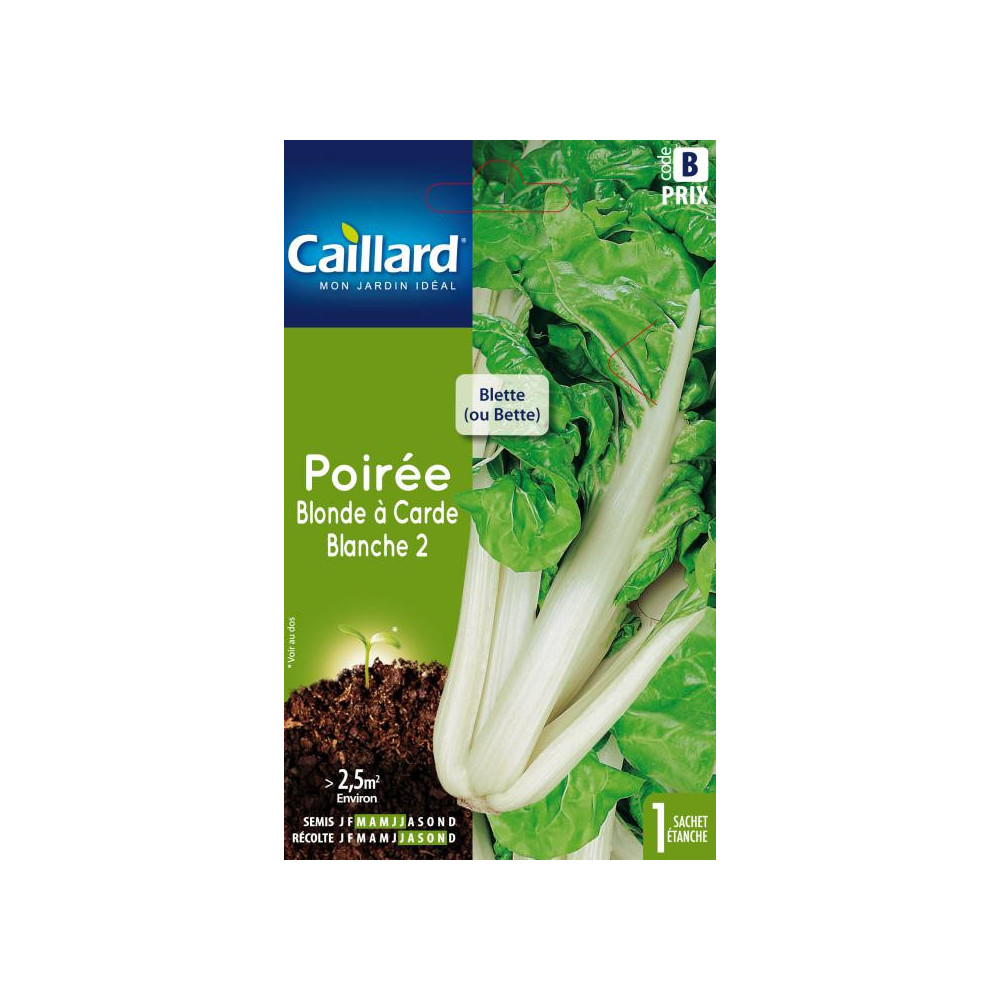 Graine De Poirée Blonde A Carde Blanche Graine De Poirée Blonde A Carde Blanche