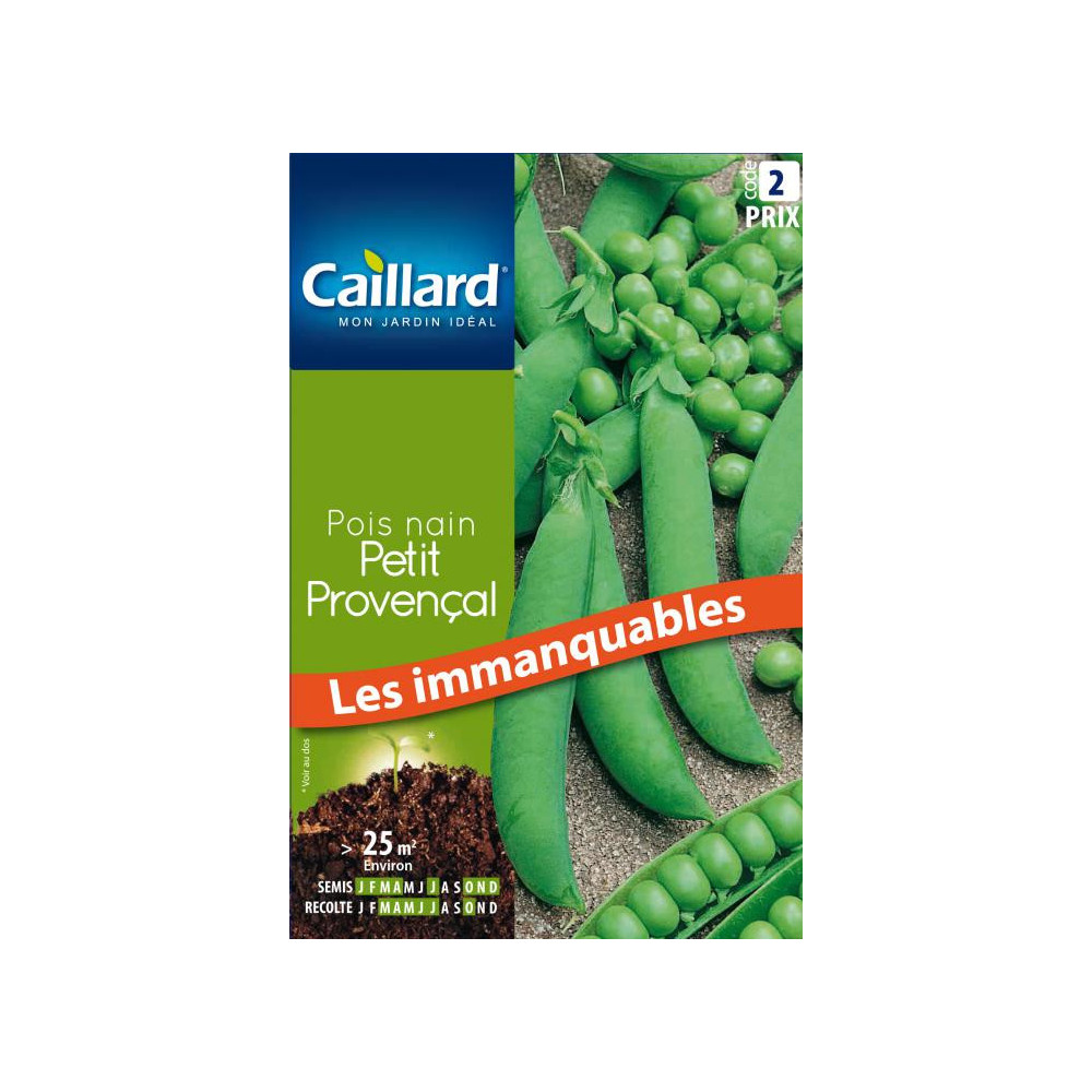 Graine De Pois Petit Provencal Graine De Pois Petit Provencal