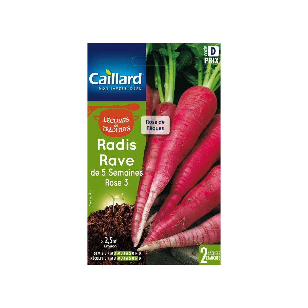 Graine De Radis Rave De 5 Semaines Rose Graine De Radis Rave De 5 Semaines Rose