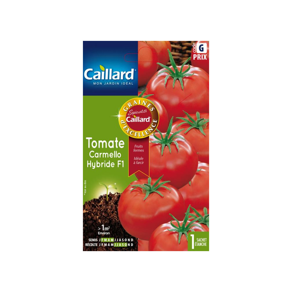 Graine De Tomate Carmello Graine De Tomate Carmello