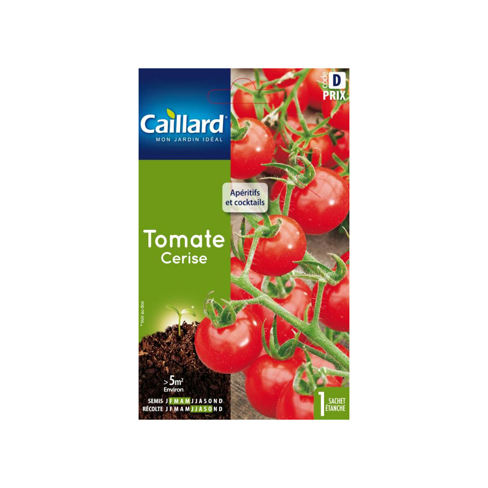 Graine De Tomate Cerise Graine De Tomate Cerise