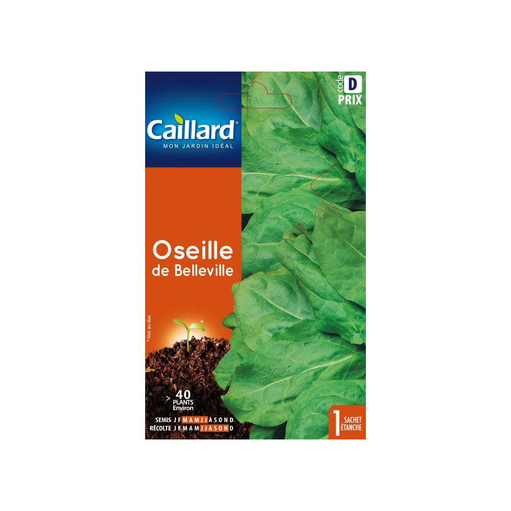 Graine D'oseille Belleville Graine D'oseille Belleville
