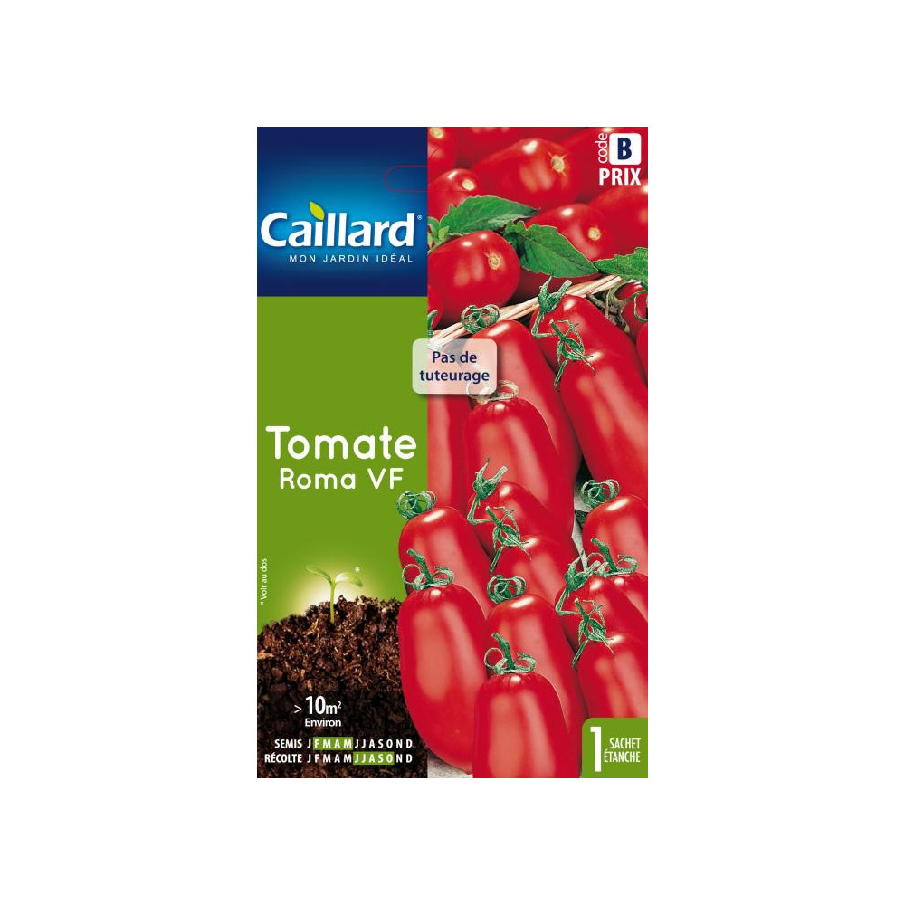 Graine De Tomate Roma Graine De Tomate Roma