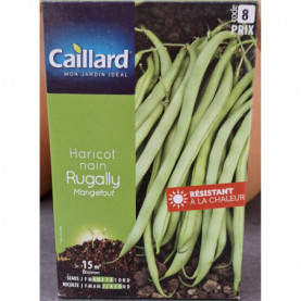 Graine De Haricot Nain Mangetout Rugally