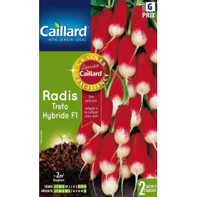 Graine Radis Treto Hybride F1