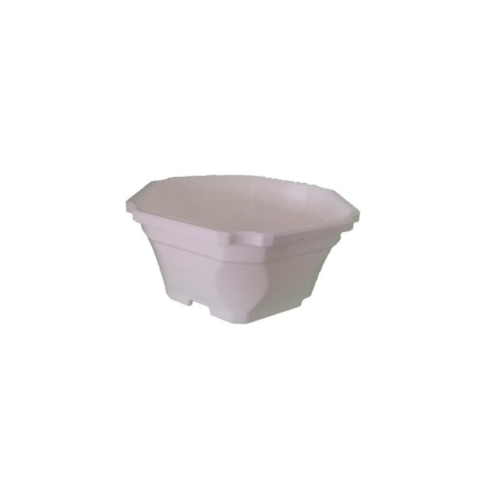 Coupe Hexagonale Blanc 27 Coupe Hexagonale Blanc 27