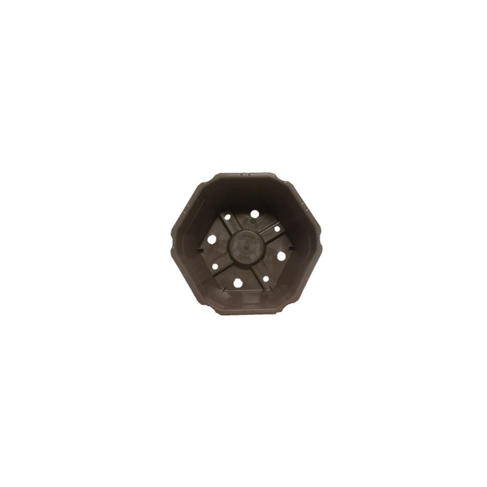 Coupe Hexagonale Taupe 23 Coupe Hexagonale Taupe 23
