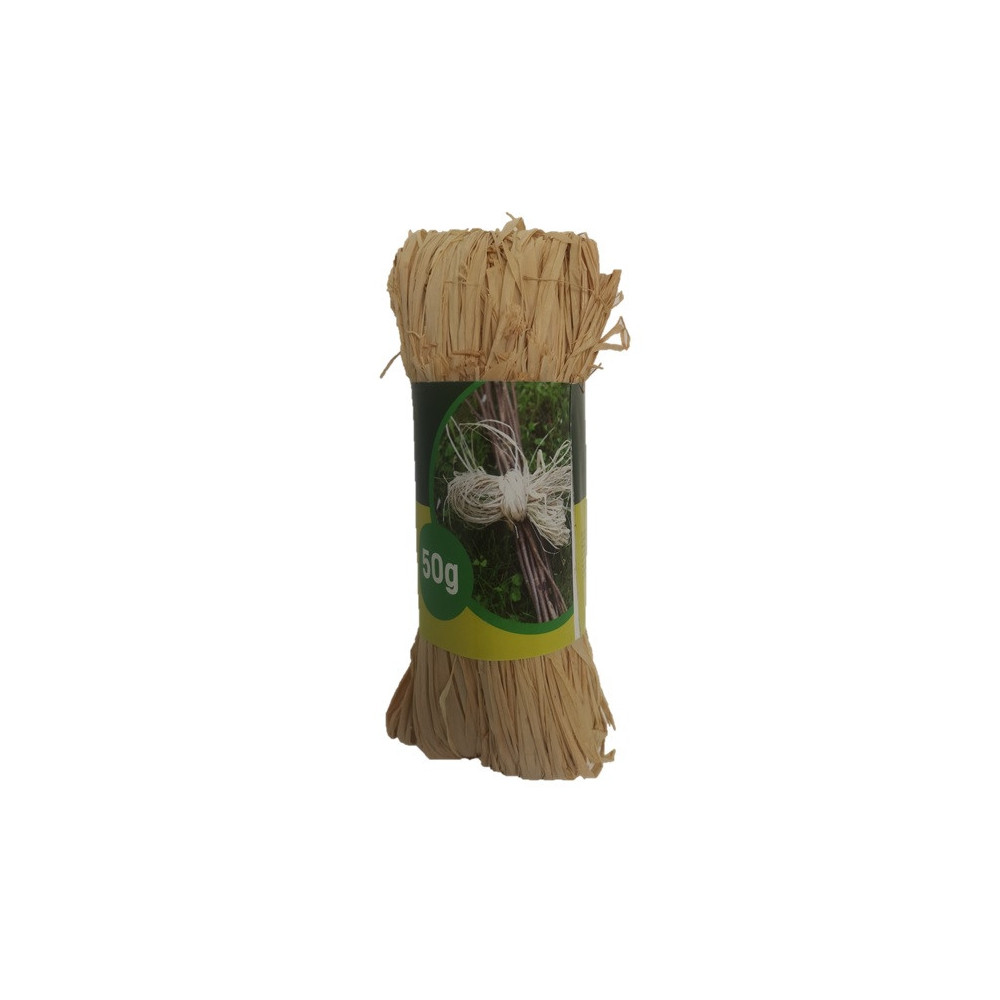Raphia Nortene Raphia Nortene