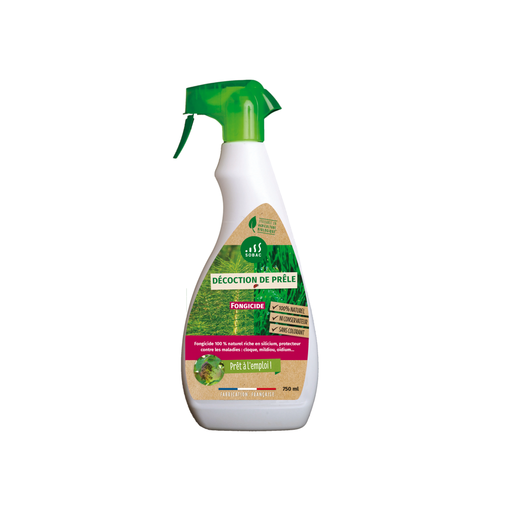 Décoction De Prêle 750 Ml Prêt à L'emploi Décoction De Prêle 750 Ml Prêt à L'emploi