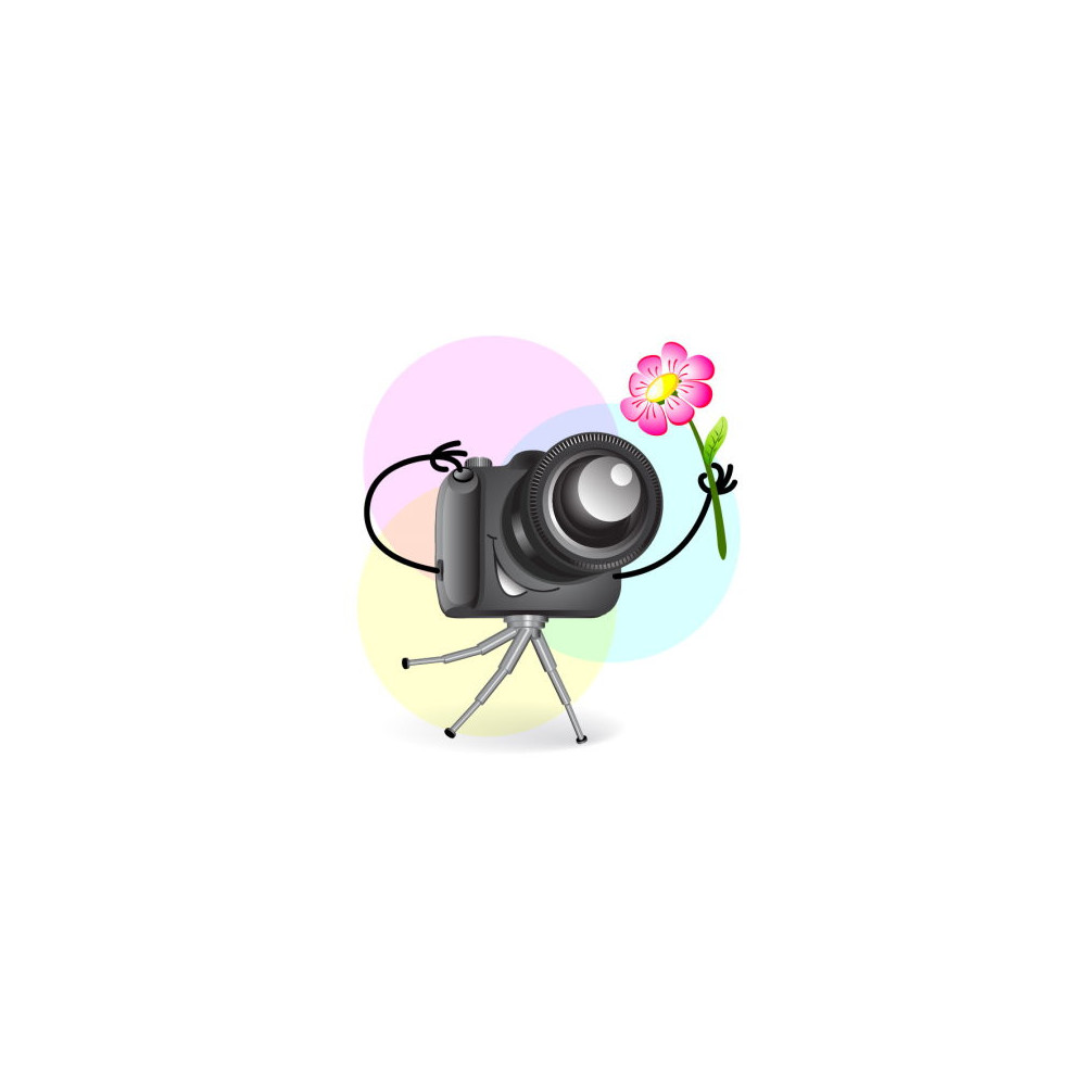 Monarde Lambada Rose Monarde Lambada Rose