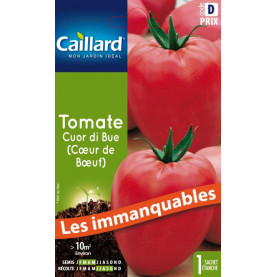 Graine De Tomate Coeur De Boeuf (cuor Di Bue)