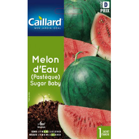 Graine De Melon D'eau (pastèque) Sugar Baby