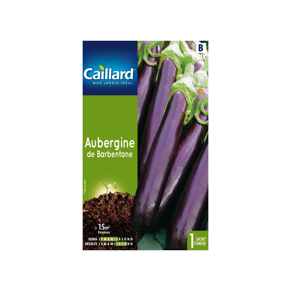 Graine D'aubergine De Barbentane Graine D'aubergine De Barbentane
