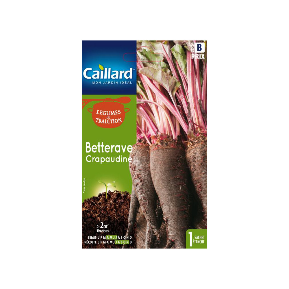 Graine De Betterave Crapaudine Graine De Betterave Crapaudine