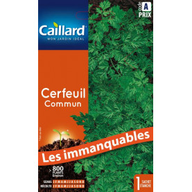 Graine De Cerfeuil Commun