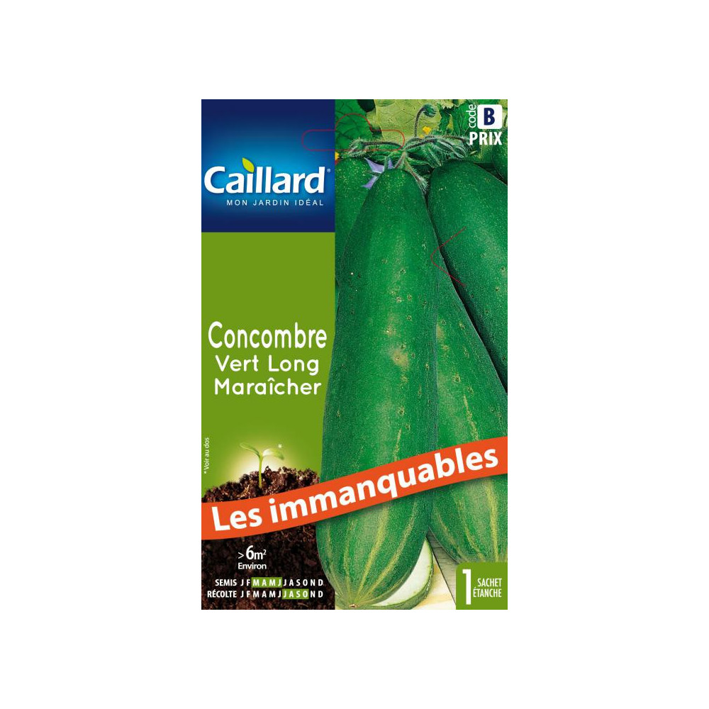 Graine De Concombre Vert Long Maraicher Graine De Concombre Vert Long Maraicher