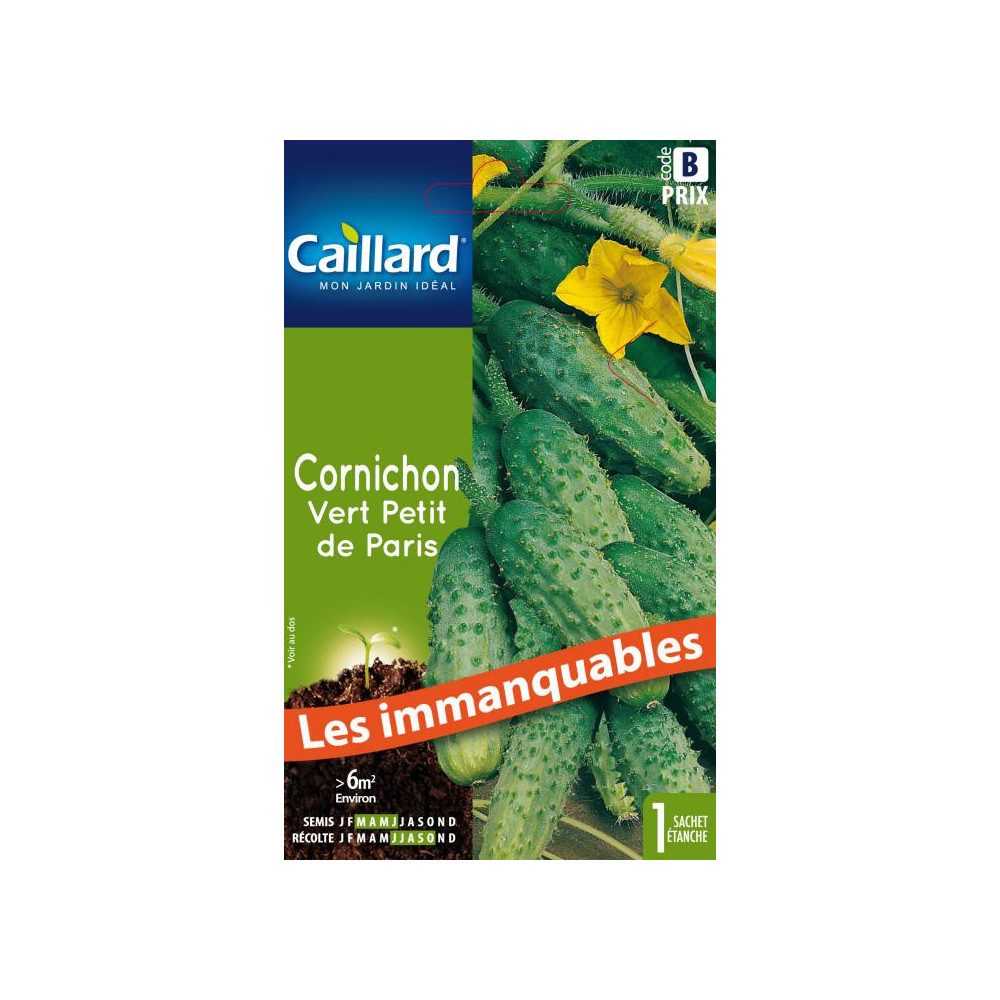 Graine De Cornichon Vert Petit De Paris Graine De Cornichon Vert Petit De Paris