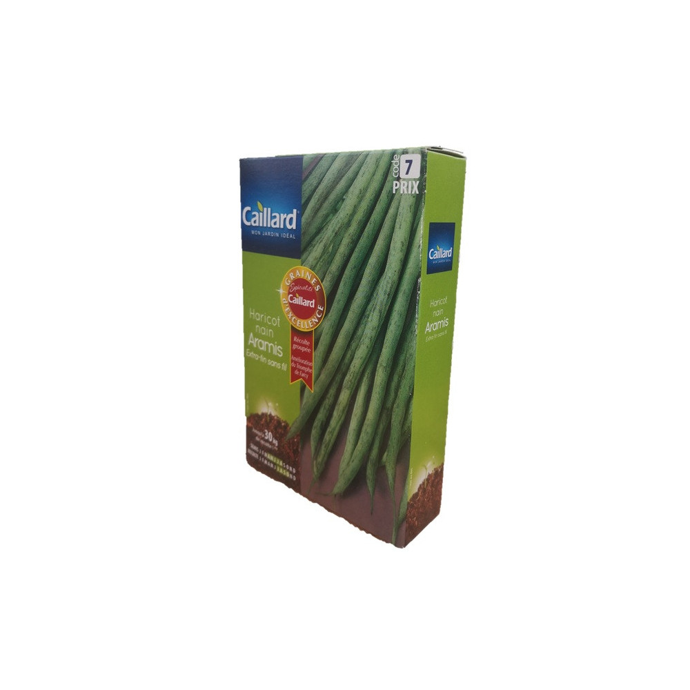 Graine De Haricot Nain Extra Fin Sans Fil Aramis Graine De Haricot Nain Extra Fin Sans Fil Aramis