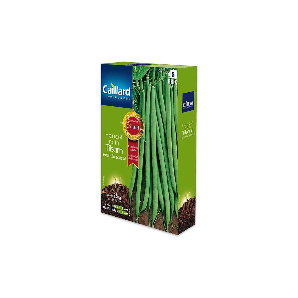 Graine De Haricot Nain Extra Fin Sans Fil Tilsam Graine De Haricot Nain Extra Fin Sans Fil Tilsam