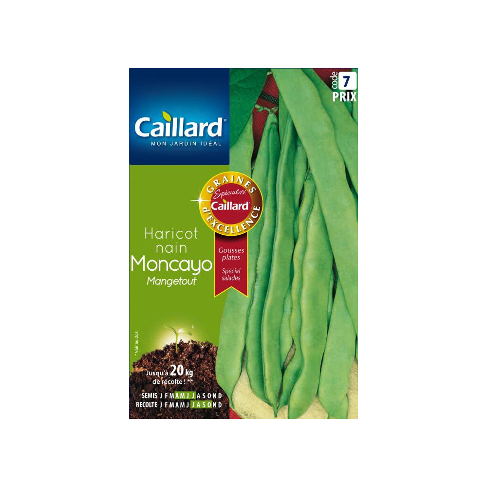 Graine De Haricot Nain Mangetout Moncayo Graine De Haricot Nain Mangetout Moncayo