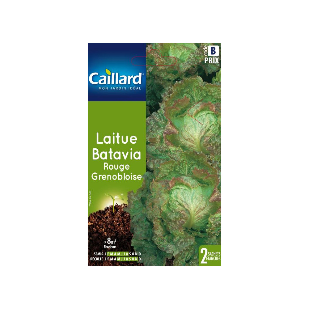 Graine De Laitue Batavia Rouge Grenobloise Graine De Laitue Batavia Rouge Grenobloise