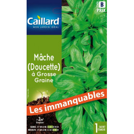 13700 MACHE A GROSSE GRAINE.jpg