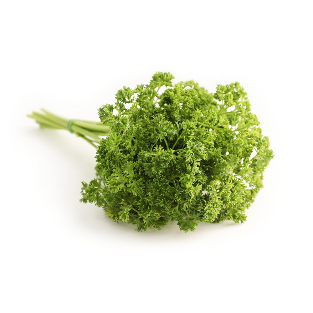 Graine De Persil Frisé Vert Foncé Graine De Persil Frisé Vert Foncé