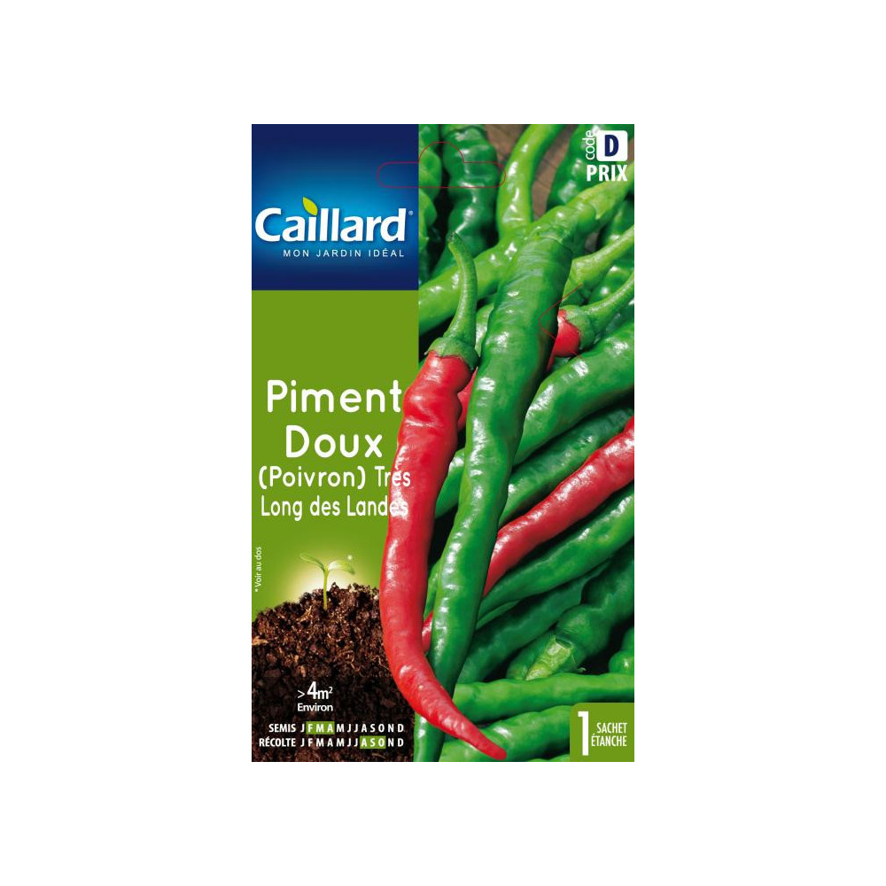Graine De Piment Doux (poivron) Très Long Des Landes Graine De Piment Doux (poivron) Très Long Des Landes