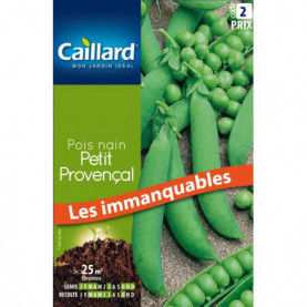 17701 POIS NAIN PETIT PROVENCAL.jpg