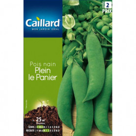 17706 POIS PLEIN LE PANIER.jpg