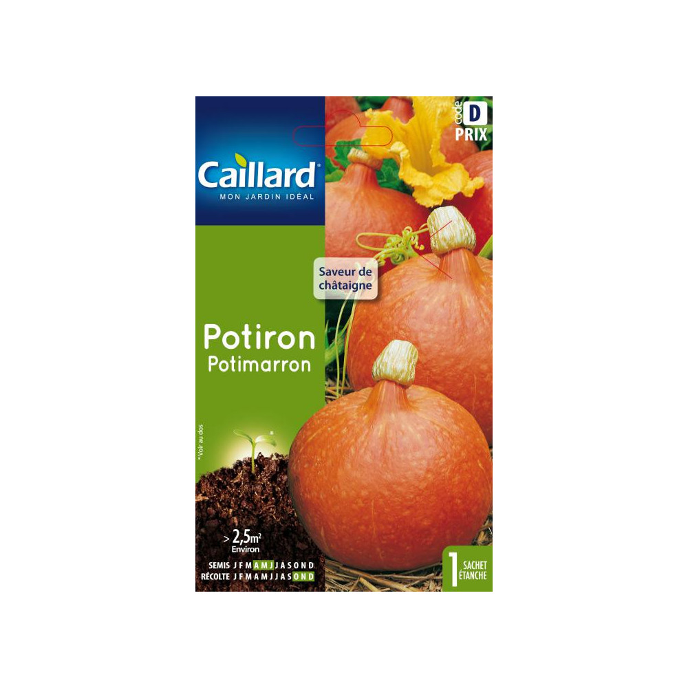 Graine De Potiron Potimarron Graine De Potiron Potimarron