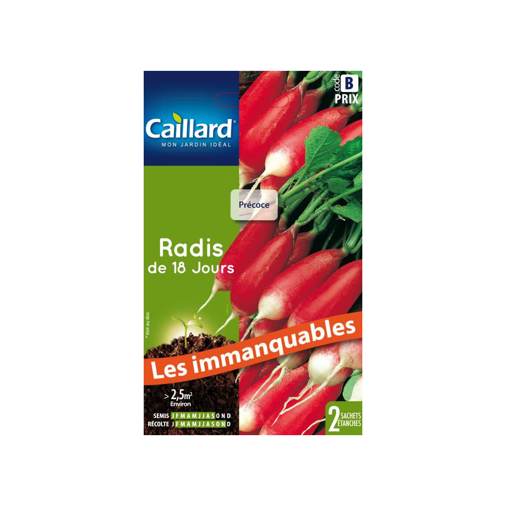 Graine De Radis De 18 Jours Graine De Radis De 18 Jours