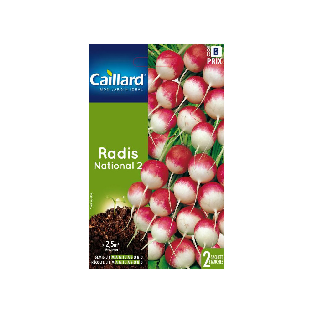 Graine De Radis National Graine De Radis National