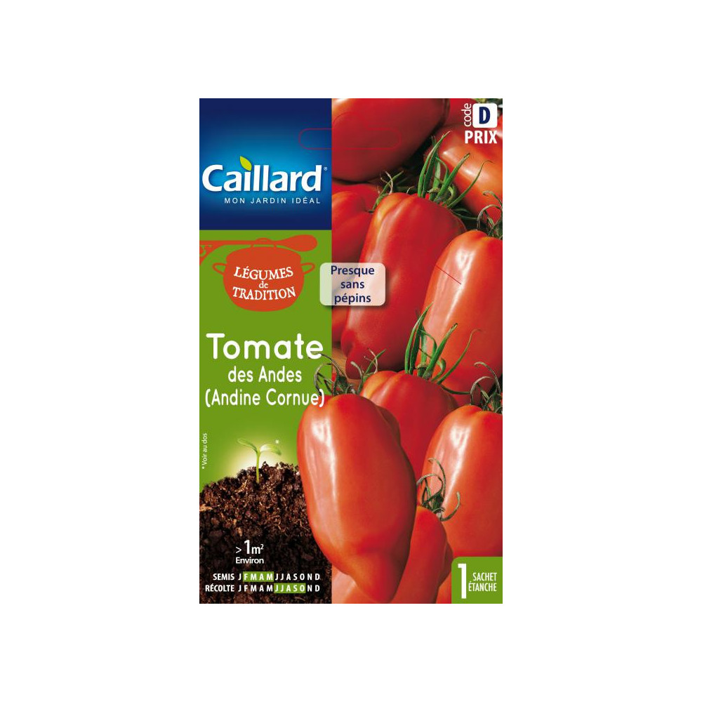 Graine De Tomate Des Andes (andine Cornue) Graine De Tomate Des Andes (andine Cornue)