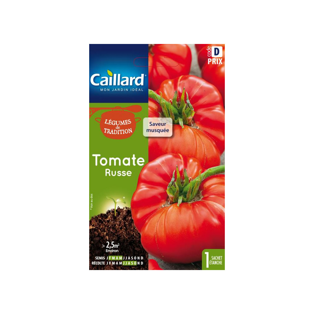 Graine De Tomate Russe Graine De Tomate Russe