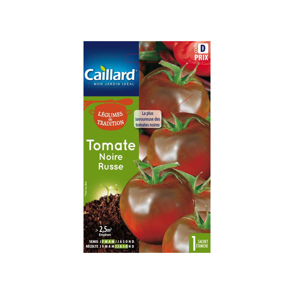 Graine De Tomate Russe Noir Graine De Tomate Russe Noir