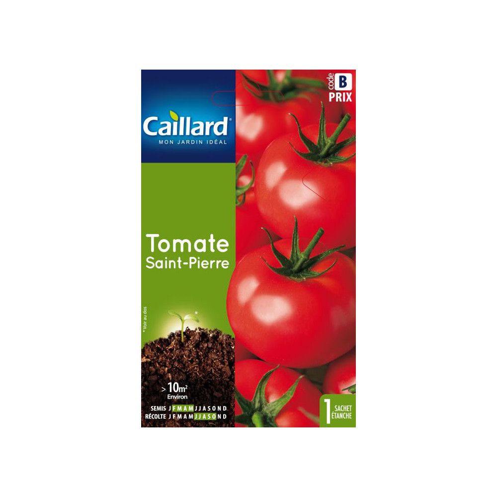 Graine De Tomate Saint Pierre Graine De Tomate Saint Pierre