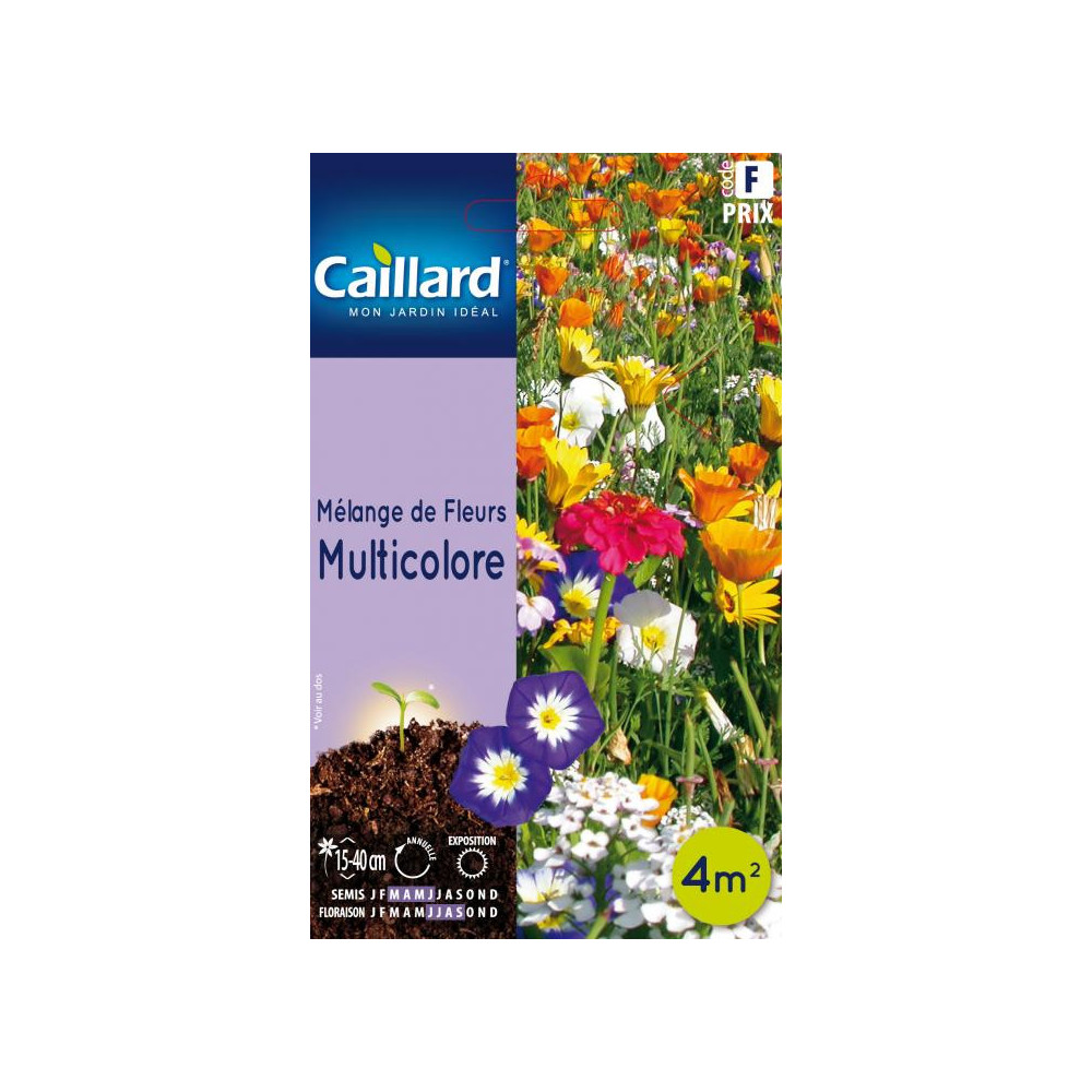 Graine De Melange De Fleurs Multicolore Graine De Melange De Fleurs Multicolore