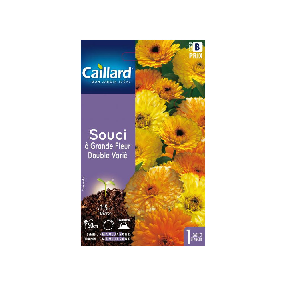 Graine De Souci A Grande Fleur Double Varié Graine De Souci A Grande Fleur Double Varié