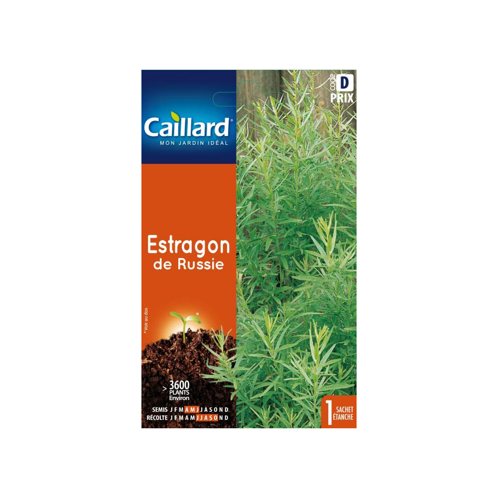 Graine D'estragon Russe Graine D'estragon Russe