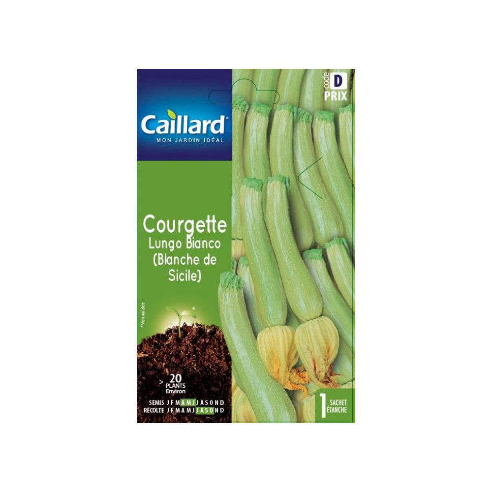 Graine De Courgette Lungo Bianca Graine De Courgette Lungo Bianca