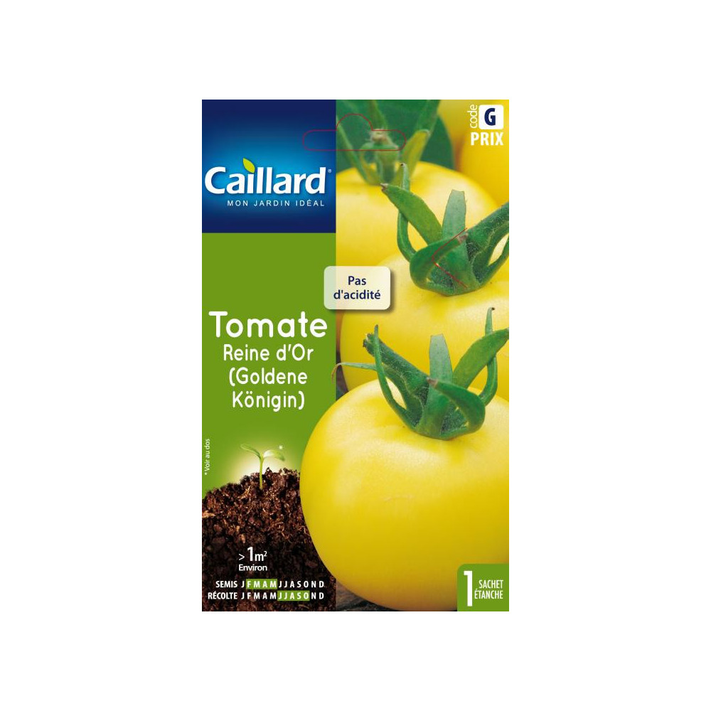 Graine De Tomate Reine D'or Graine De Tomate Reine D'or