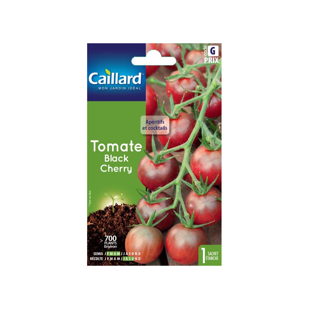 Graine De Tomate Black Cherry Graine De Tomate Black Cherry