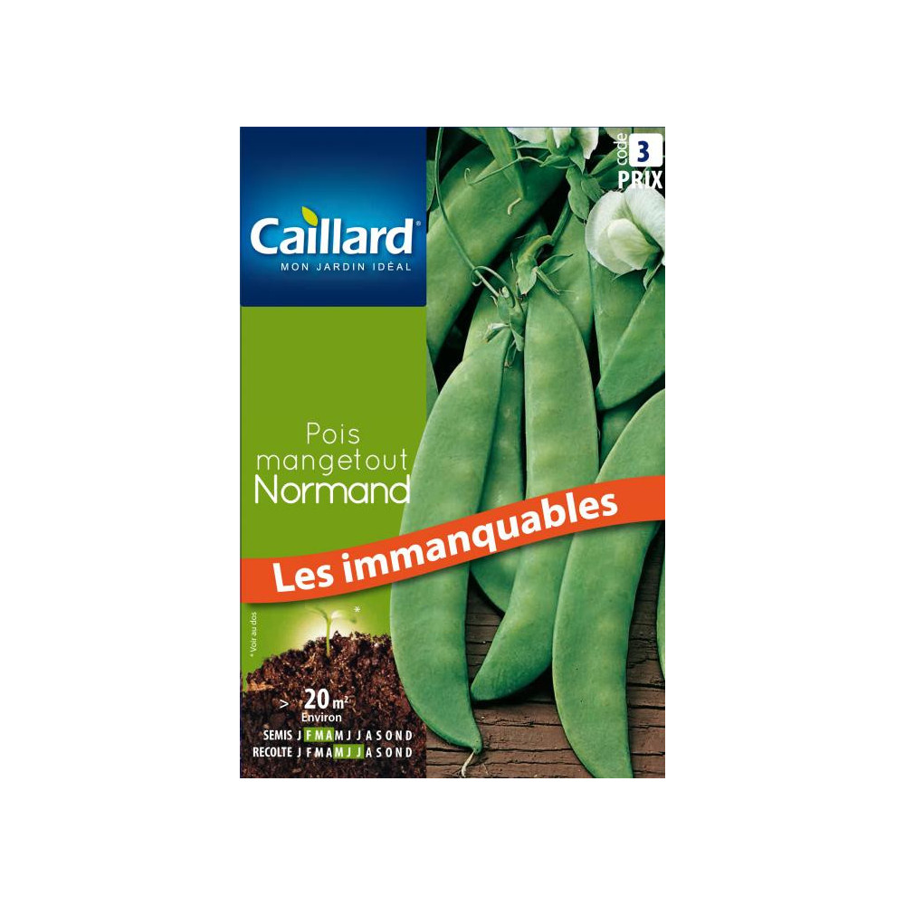 Graine De Pois Mangetout Normand Graine De Pois Mangetout Normand