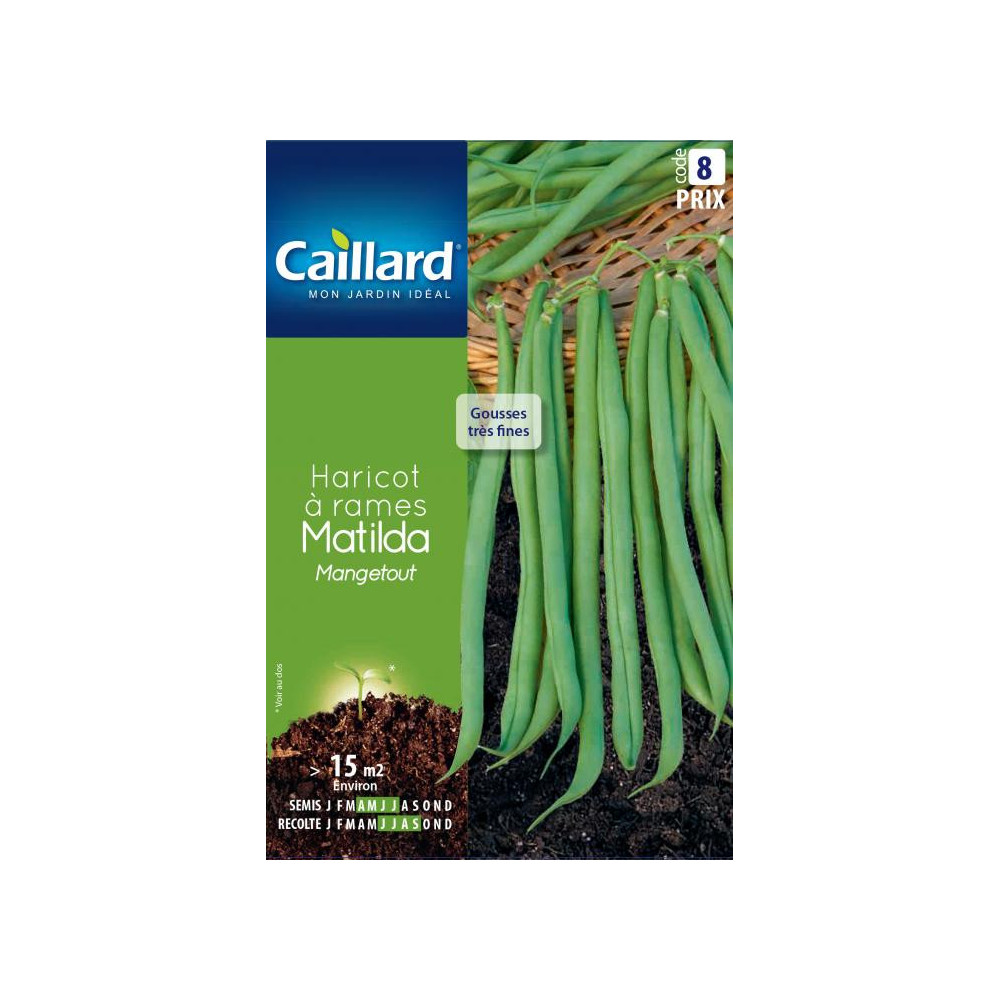 Graine De Haricot A Rames Mangetout Matilda Graine De Haricot A Rames Mangetout Matilda